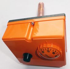 Kesseldoppelthermostat TBR 100 mm lang