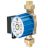 Brauchwasserpumpe Vortex BW 401 V 3/4''i (411-540-002)